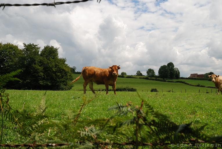 ENE-20110728-0662.jpg - Vareilles (Saône-et-Loire)